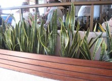 Kwikfynd Indoor Planting
gisbornesouth
