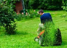 Kwikfynd Lawn Mowing
gisbornesouth
