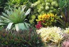 Gisborne Southplanting-garden-and-landscape-design-24.jpg; ?>