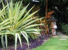 Kwikfynd Tropical Landscaping
gisbornesouth